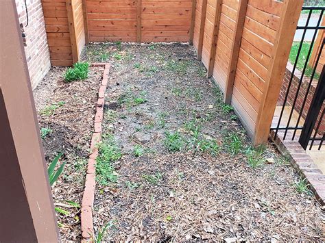 We understand how intimidating the entire process can be and do not take our clients' trust lightly. Portfolio | Mi Jalisco Landscaping LLC | Quality Results