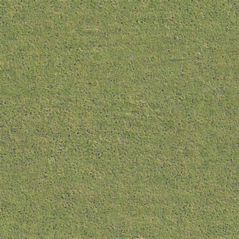 Grass0202 Free Background Texture Aerial Field Grass Ground Terrain Short Green Seamless