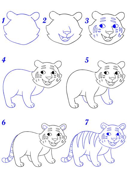 Comment dessiner un tigre Dessin tigre facile par étapes