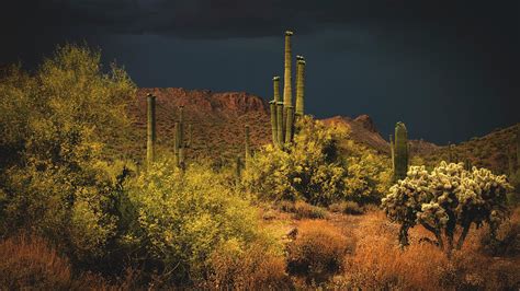 Spring Desert Storm Photograph By Saija Lehtonen Fine Art America