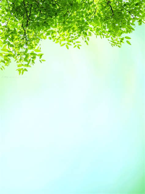 fondo de publicidad verde gu yu hoja verde planta imagen