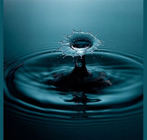 Water Drop Photography Photography