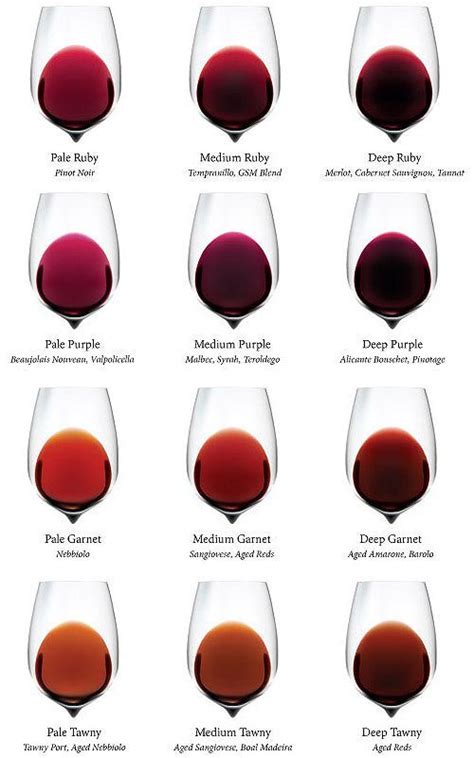 What Color Matches With Wine The Meaning Of Color