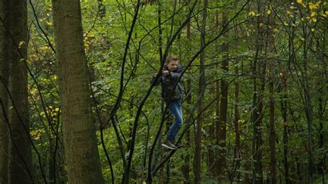 Door De Wolf Zijn Kinderen Bang Om Te Spelen In Het Bos Het Maakt Wel