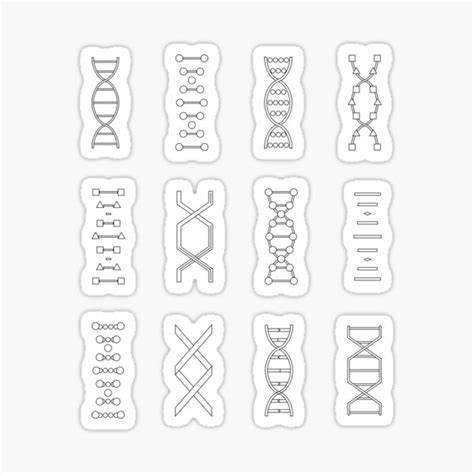 Dna Genetics Stem Biology Pattern Set Black And White Sticker For