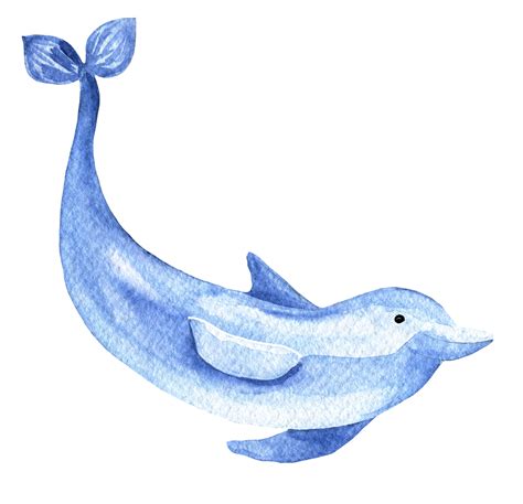 Watercolor Dolphin Pngs For Free Download