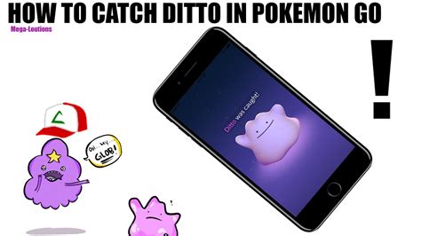 How To Catch Ditto In Pokemon Go Youtube