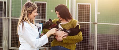 Poll Do You Participate In Animal Welfare Volunteer Work Todays