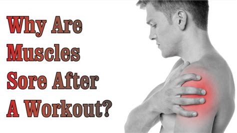 We've probably all been there where we work out a little harder than we normally do just getting back into exercising, then you get really sore muscles. Why Are Muscles Sore After A Workout? : Fitness Town