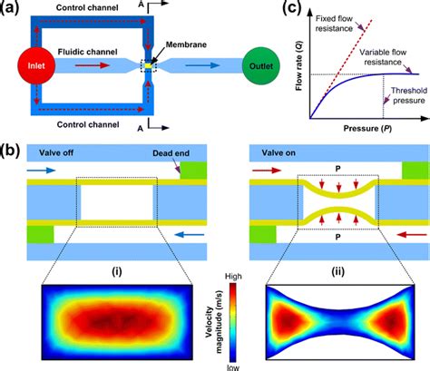 Flow Control Mechanism Of Microfluidic Autoregulatory