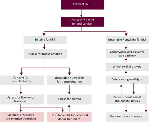 Approach To The Management Of End Stage Renal Disease Rcp Journals