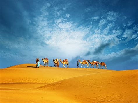 Top Tips For Booking A Uae Desert Safari Time Out Dubai