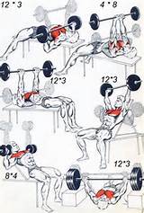 Workouts Chest