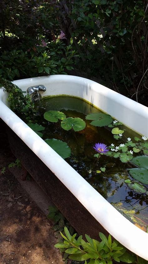 Water gardening has become very popular in the last 20 years. Clawfoot Tub Turned Garden Pond! | Diy water feature ...