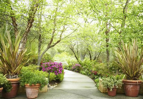 Top 5 Garden Feng Shui Design And Decor Tips