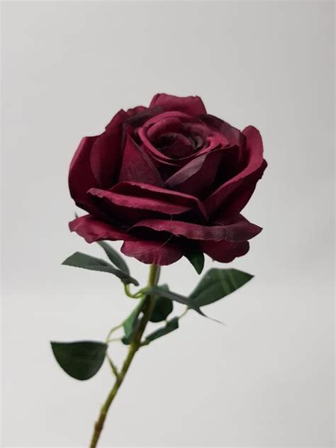 Rose Stem Audrey Burgundy 75cm Desflora