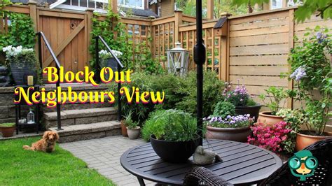 How To Block Out Neighbours View Of My Yard Screening Cheap Ways To