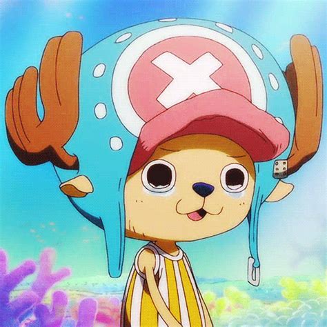One Piece Chopper  By Toei Animation Uk Find And Share On Giphy