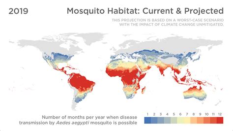 Chart Where Disease Carrying Mosquitoes Will Go In The Future Ncpr News