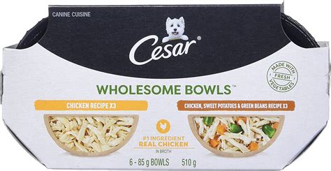 Cesar Wholesome Bowls Wet Dog Food Chicken Chicken Sweet Potato