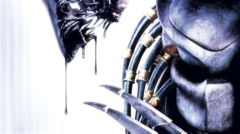 Besides that, i also have a theory. Alien Vs Predator Wallpapers - Wallpaper Cave