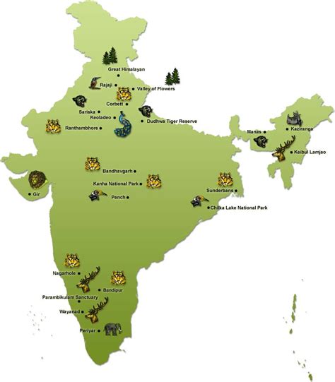 This Is India Wildlife Conservation