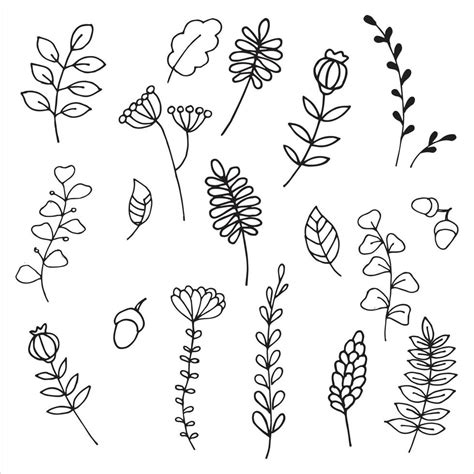 Vector Drawing In Doodle Style Cute Flowers And Plants Hand Drawn