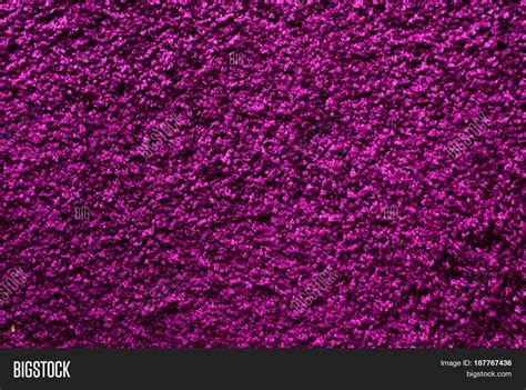 Purple Carpet Image And Photo Free Trial Bigstock