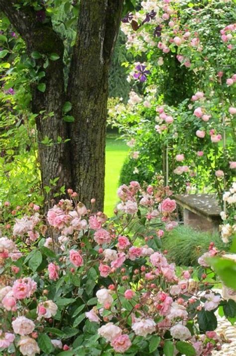 Pin By Gartenblog Parzelle5 On Rosen Beautiful Gardens Gorgeous