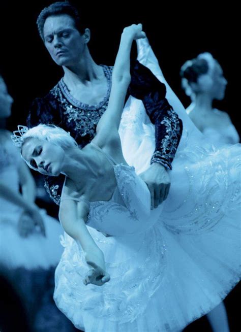 Alina Somova Ballet The Best Photographs Ballet Dança
