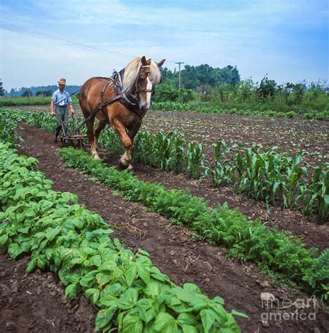 Farmer Plowing His Field Photograph By Bert Hoferichter Pixels