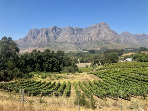 8 Great Wineries To Visit Near Cape Town Free Two Roam In 2020 Cape