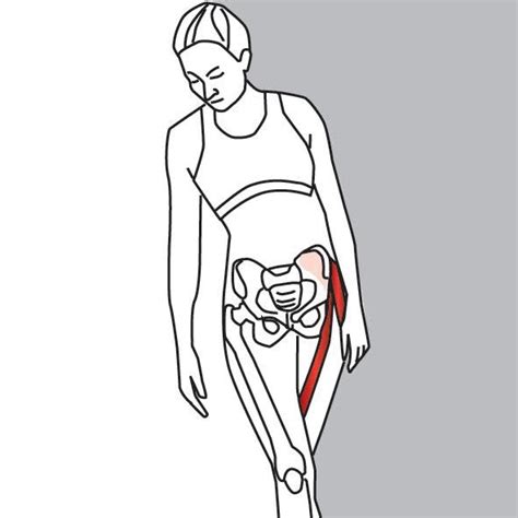 Treating The Tensor Fasciae Latae Tfl Muscle Stretches Hip