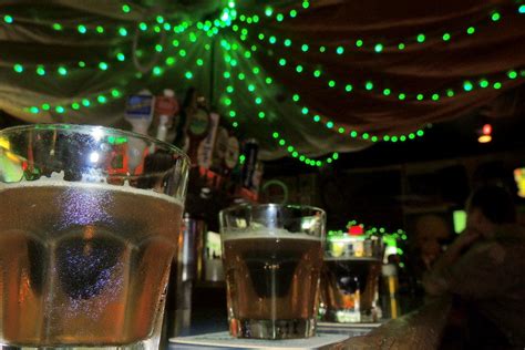 Green Parrot Bar Key West Nightlife Review 10best Experts And