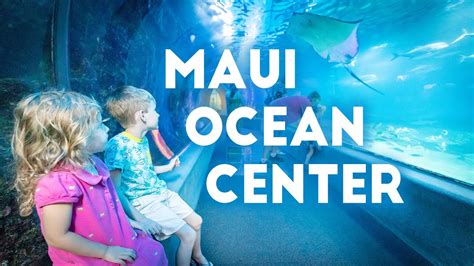Maui Ocean Center Aquarium Maui Episode 3 Youtube