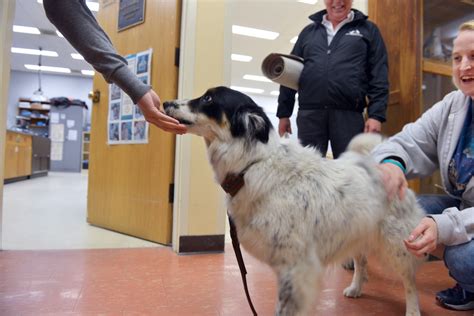 Veterinary And Animal Science Holyoke Community College