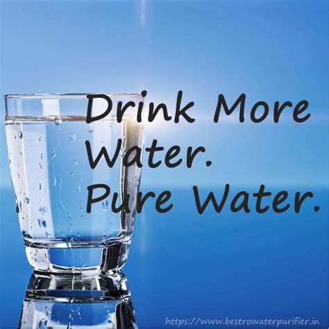 Drink Water Quotes Images Annalee Hutchison