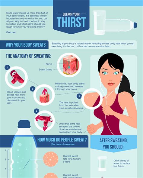 hydration facts infographic the basic life