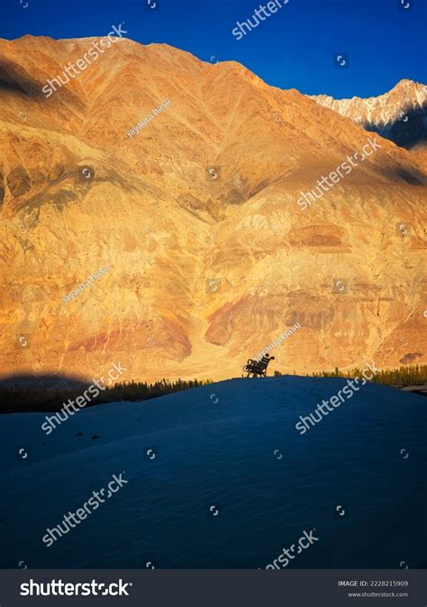 Cold Desert Nubra Valley Ladakh India Stock Photo 2228215909 Shutterstock