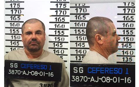 Clocks, neon bling over 100 quests to complete clothing, shirts, pants artwork, frames, posters. Life of Mexican drugs kingpin 'El Chapo' turned into a TV ...