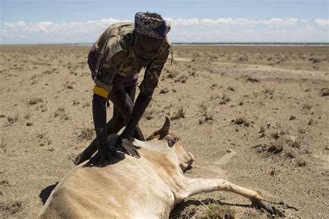 In Ethiopia Drought Threatens To Overshadow Progress