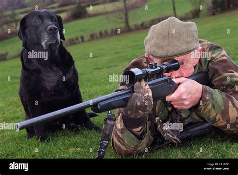 Duff Hart Davis Deer Stalking With His Gun Dog And Using An Elevated