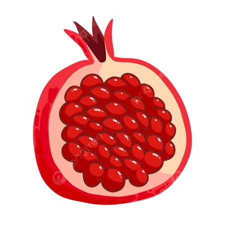Pomegranate Clipart Transparent Png Hd Peeled Fresh Red Pomegranate