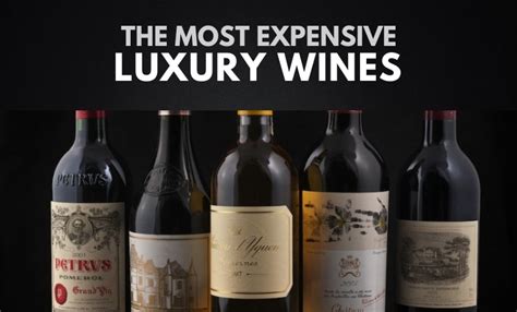 The 20 Most Expensive Wines In The World 2021 Wealthy