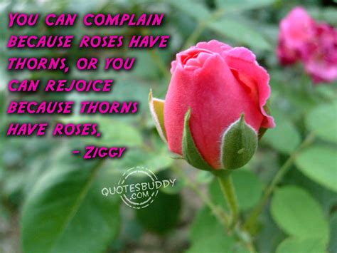 Every single one of these best flower quotes will remind you of the incredible beauty of springtime. Quotes about Rose flower (57 quotes)