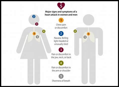 Heart Attack Early Symptoms And Warning Signs