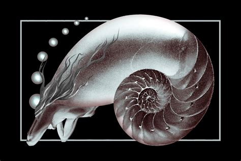 Woman Of The Nautilus By Nelson Pawlak © 2016 As She Lives And