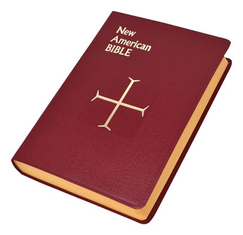 New American St Joseph Bible Full Size T Edition Catholic Bible In