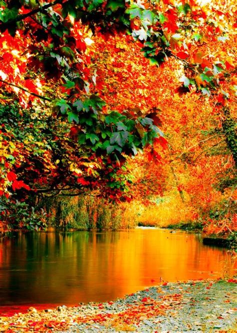 99 Amazing Pictures of Autumn Idyll - Part 1 - YourAmazingPlaces.com