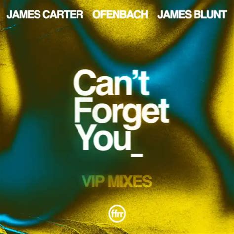 James Carter And Ofenbach Cant Forget You Feat James Blunt James